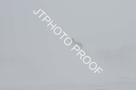 JTP_11_2824
