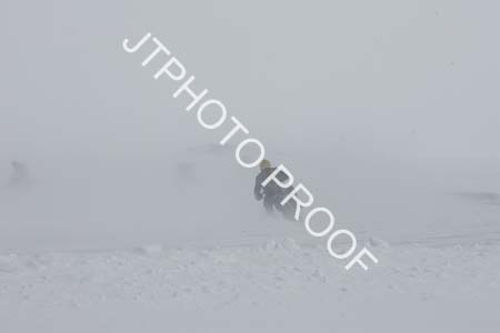 JTP_11_2931