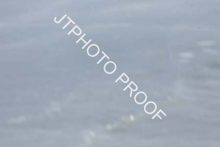 JTP_11_3535