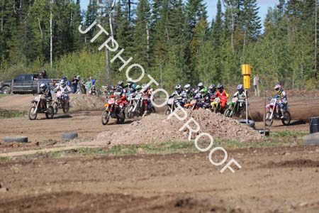 JTP1_12_8779