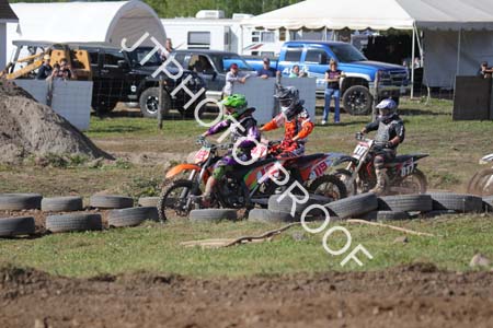 JTP1_12_8781