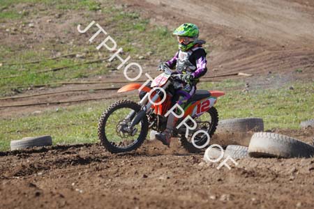 JTP1_12_8783