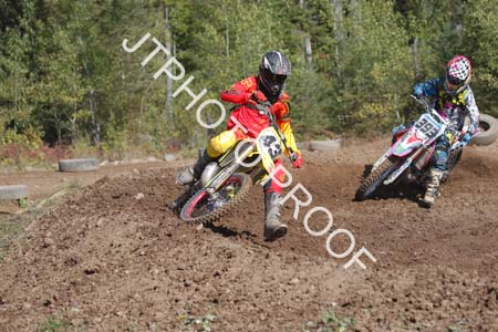 JTP1_12_8800